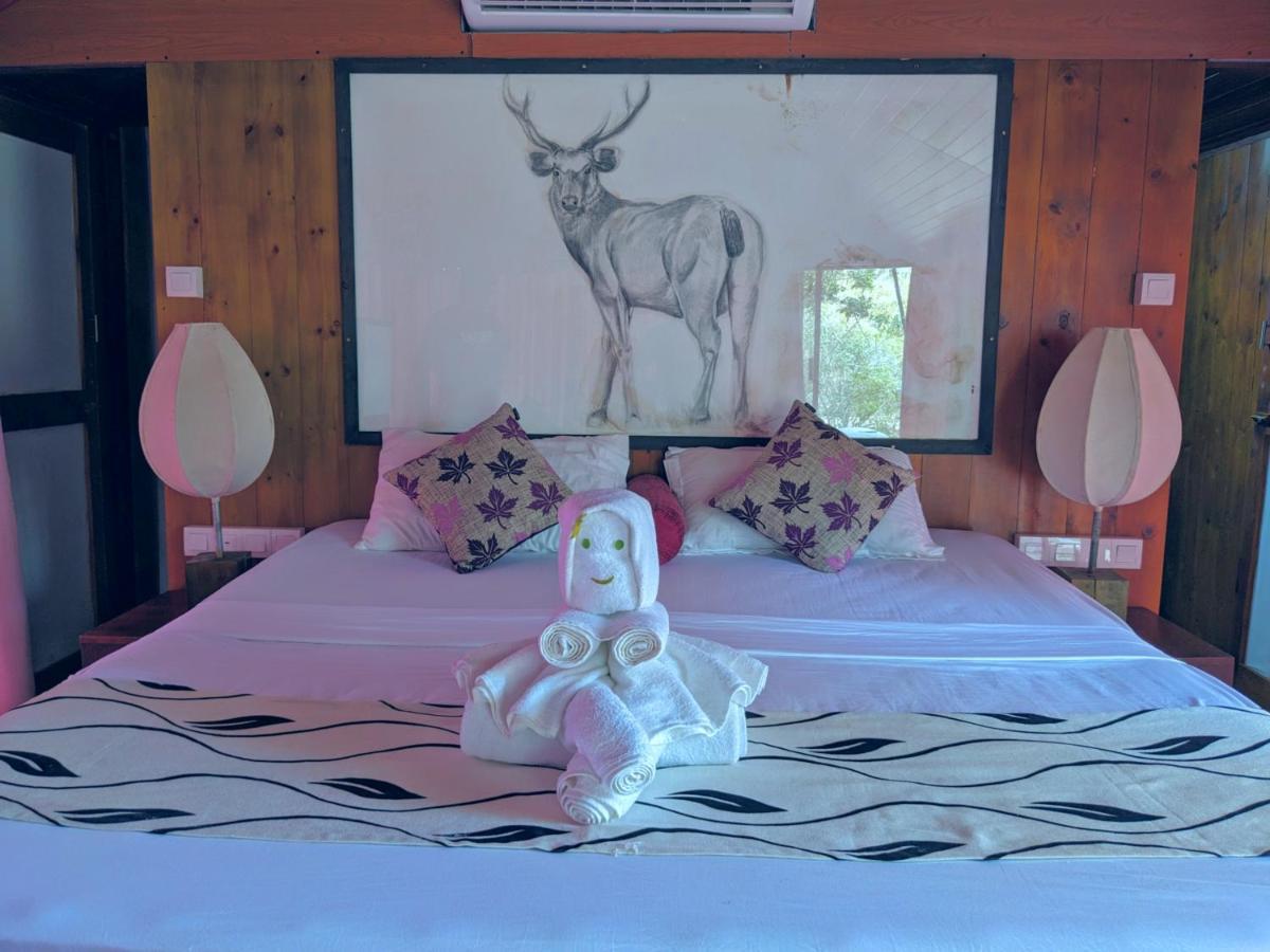 Yala Hotel Lion -Air Conditioned High Luxury Safari Camp Exterior foto