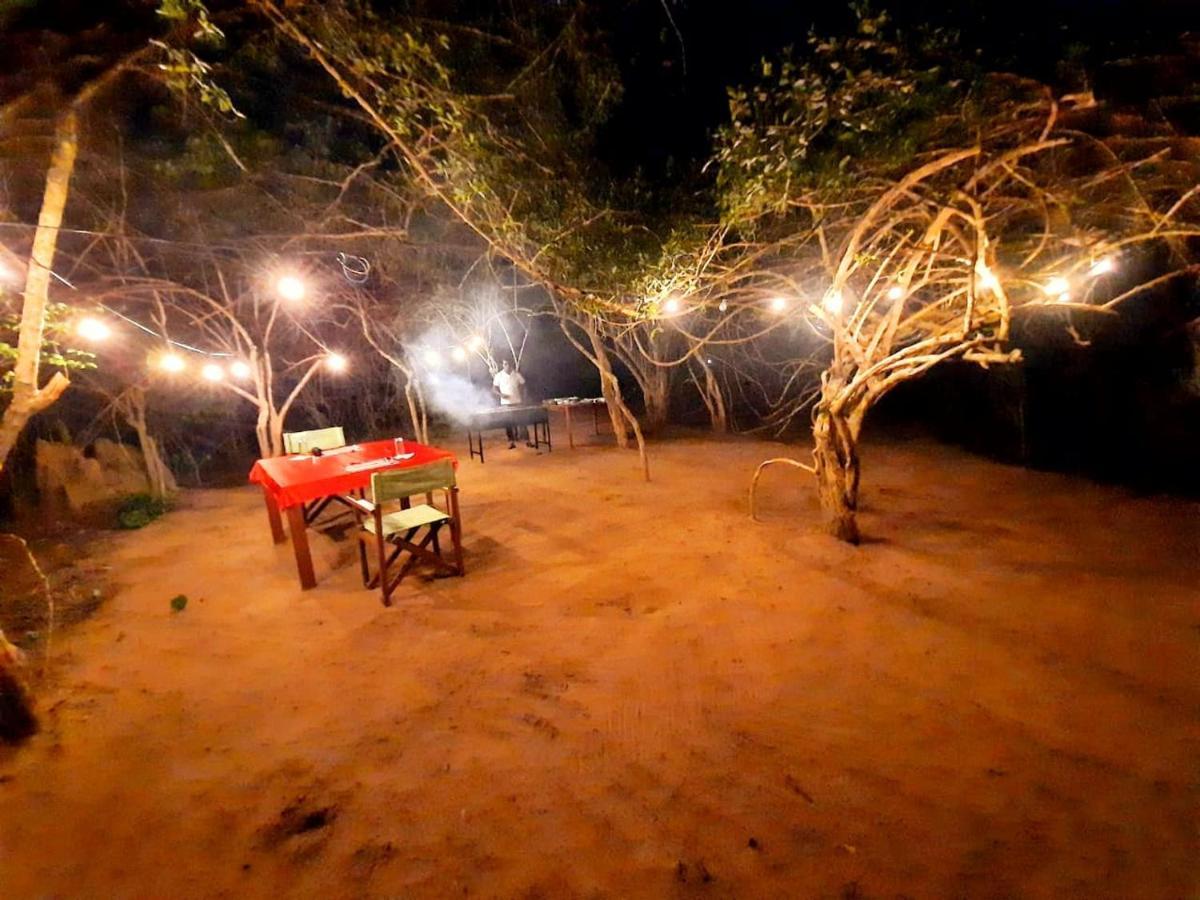 Yala Hotel Lion -Air Conditioned High Luxury Safari Camp Exterior foto