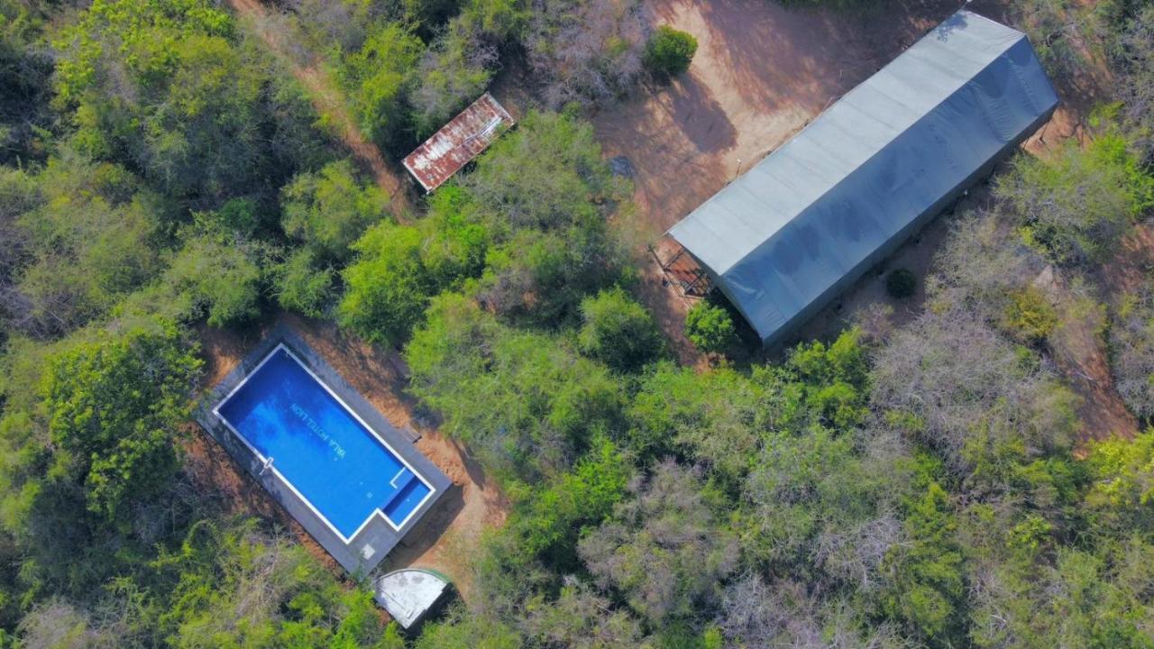 Yala Hotel Lion -Air Conditioned High Luxury Safari Camp Exterior foto