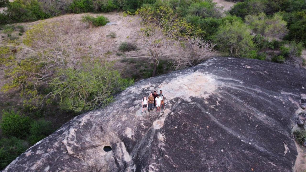 Yala Hotel Lion -Air Conditioned High Luxury Safari Camp Exterior foto